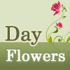 DayFlowers Floricultura