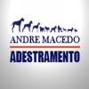 Adestrador de Caes Andre Macedo