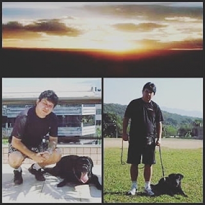 Adestramento de Cães Rj